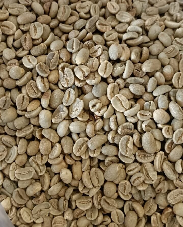 Arabica Kintamani Green Coffee Beans